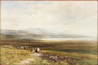 A Scotch Moor by Edmund Morison Wimperis